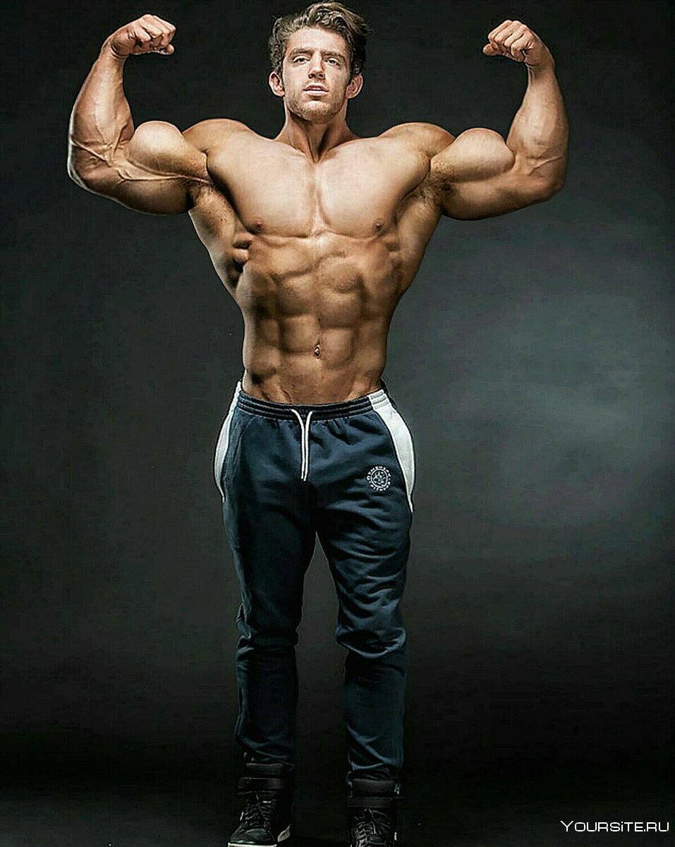 Mark Dalton muscle