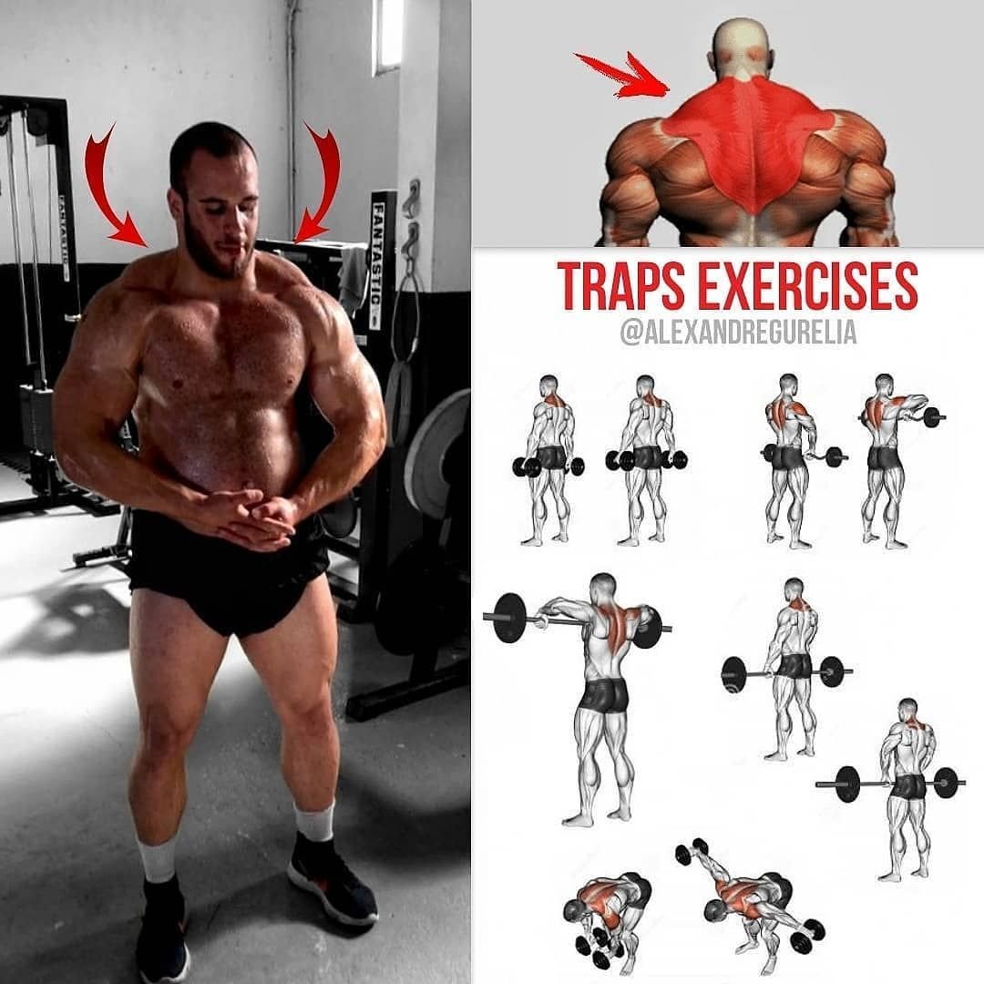 Exercise for Traps