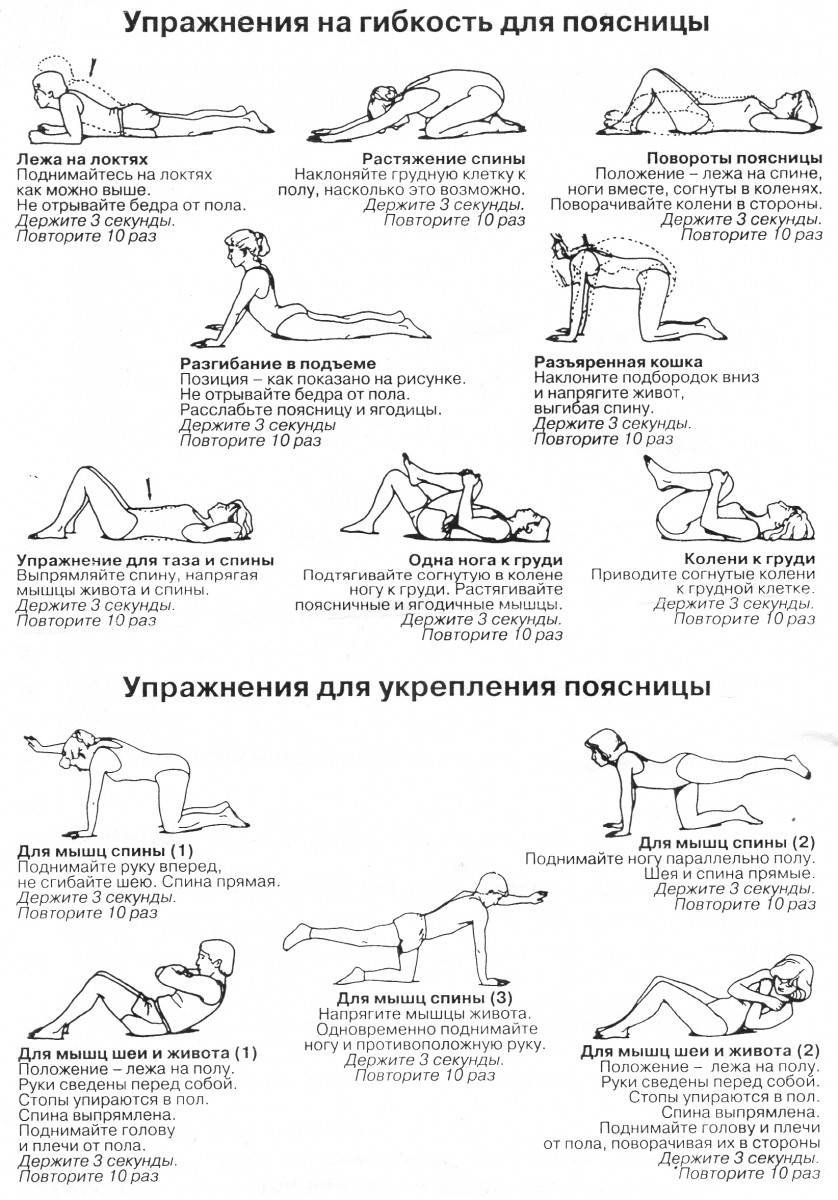 Лечебная гимнастика для укрепления мышц спины и позвоночника