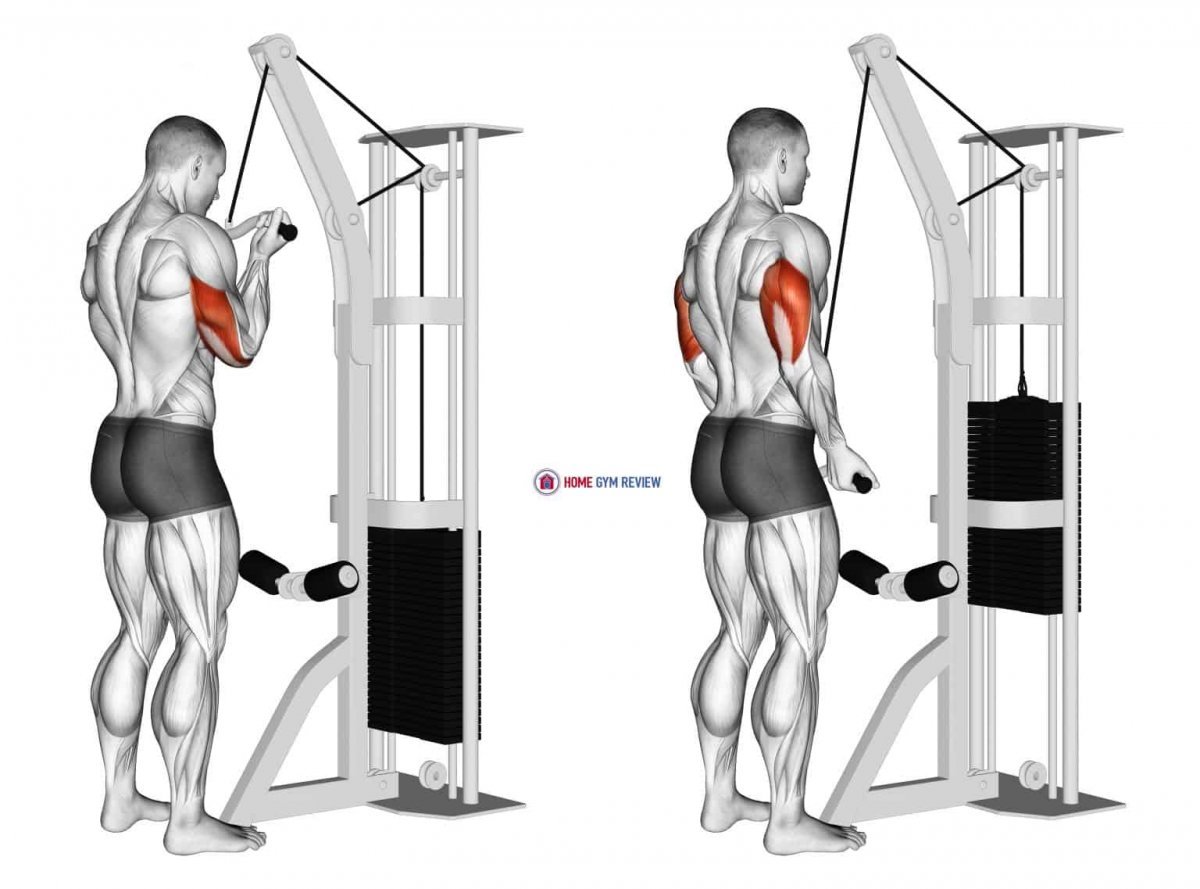 Reverse Grip Cable Pushdowns