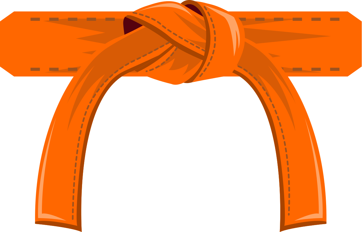 Оранжевый пояс дзюдо разряд