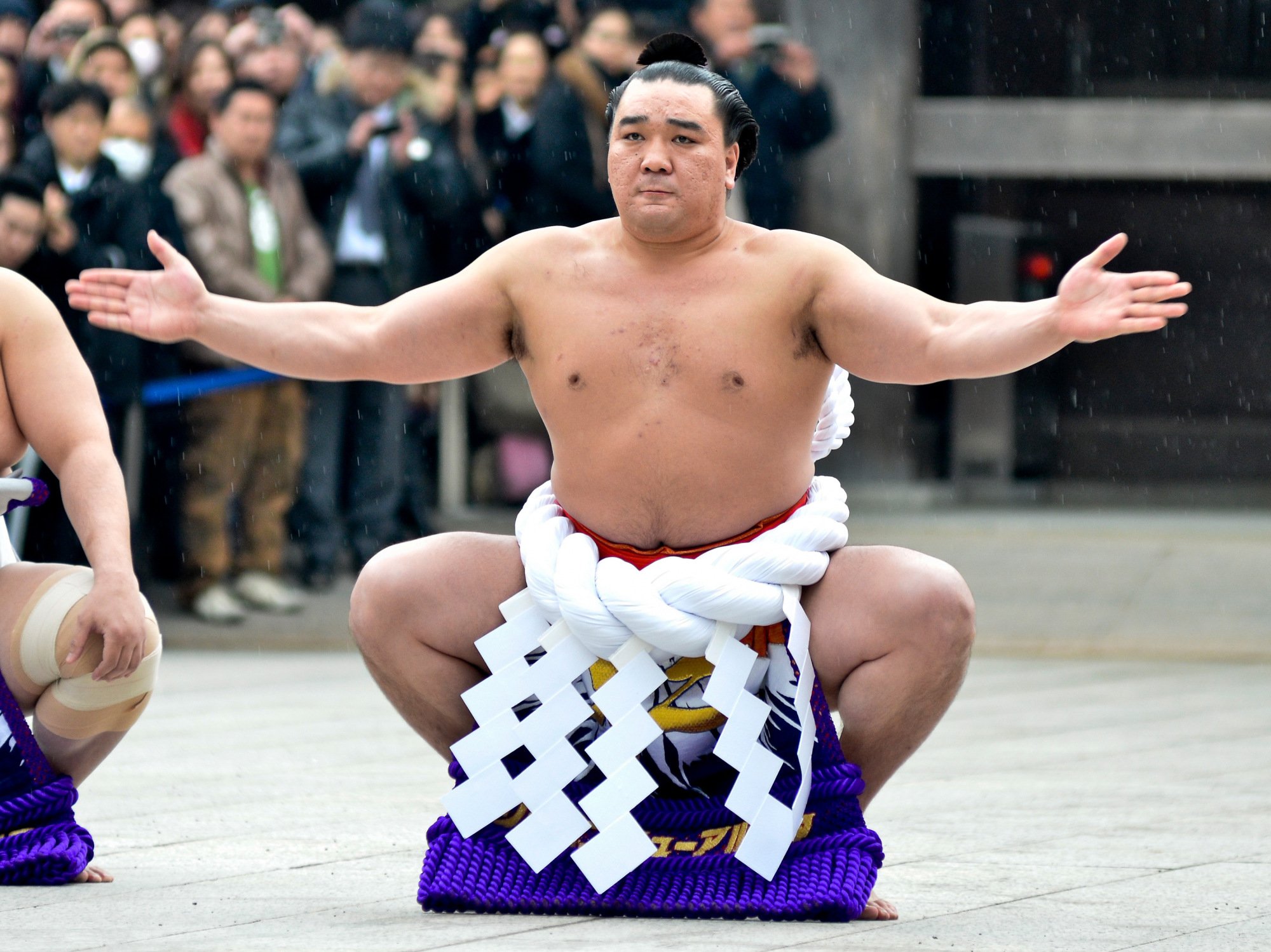 Что такое сумо. Ёкодзуна Хакухо (белый Феникс). Сумо спорт в Японии.
