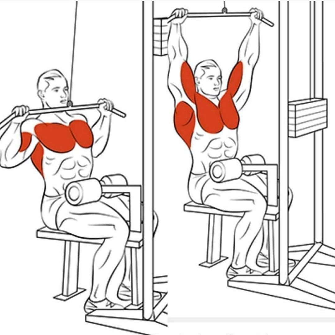 Упражнения на грудные мышцы на тренажерах