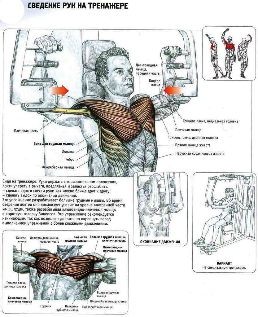 Базовые упражнения на грудные мышцы на тренажере