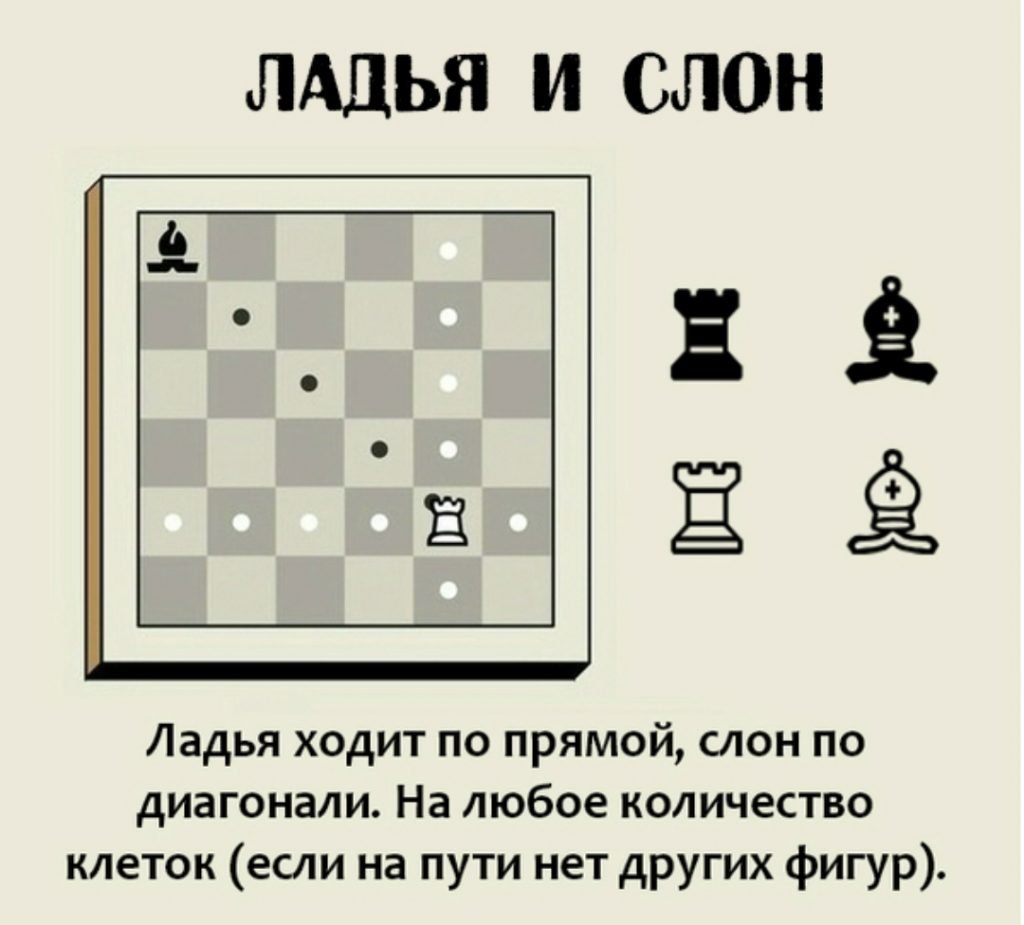 Расклад фигур в шахматах