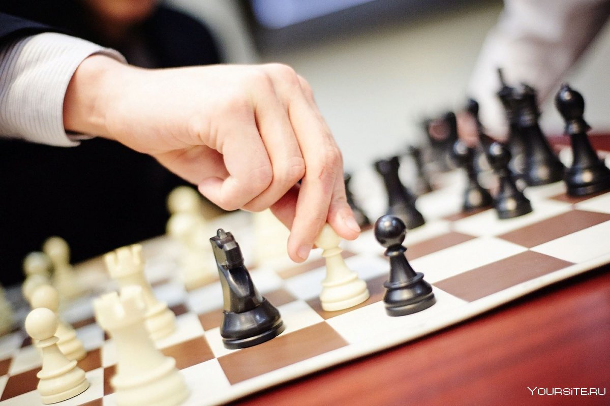 Интернет турнир по шахматам