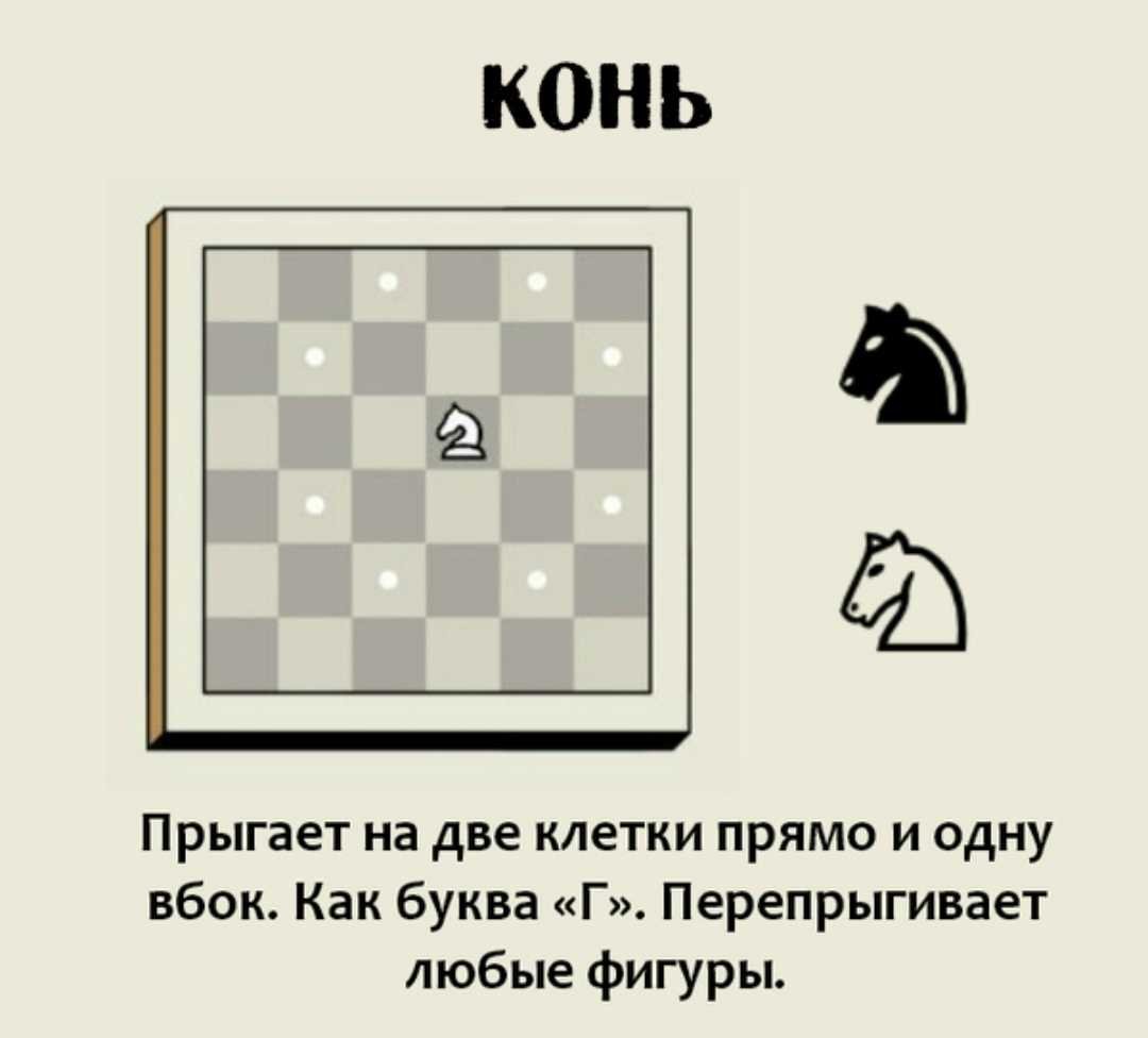 Положение шахмат