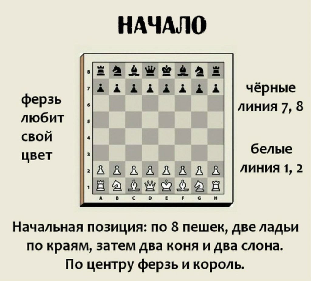 Правил игры в шахматы для начинающих
