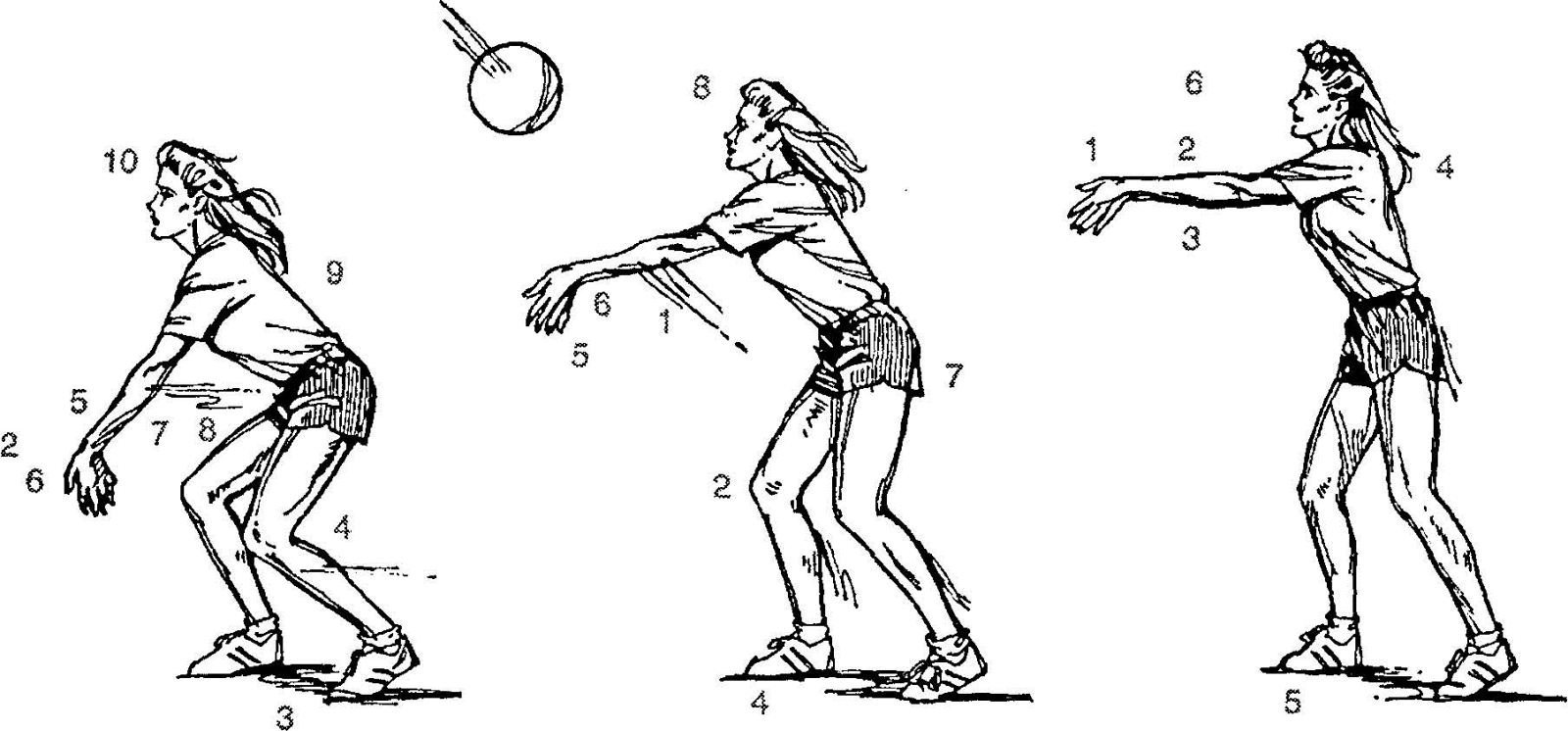 Нижняя подача прием мяча снизу. Прием предплечьями в волейболе. Передача мяча в волейболе схема. Передача мяча снизу двумя руками в волейболе. Нижняя подача двумя руками в волейболе.