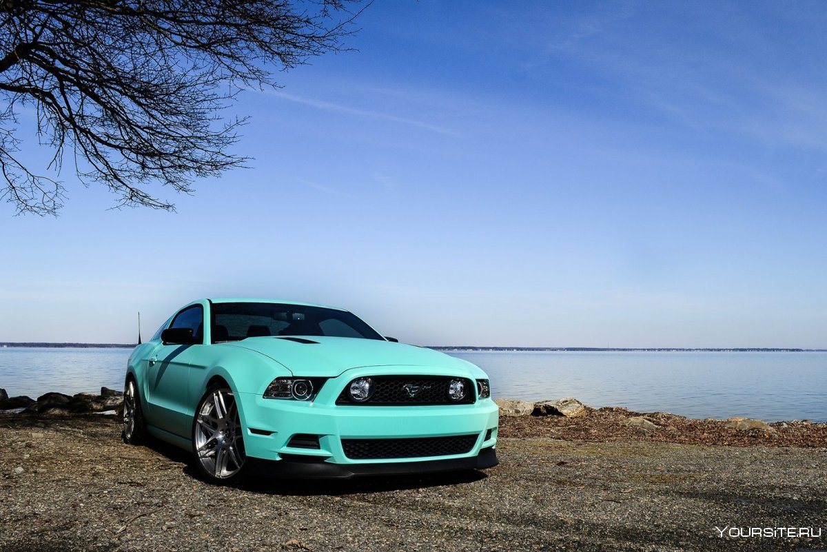 Ford Mustang черно бирюзовая