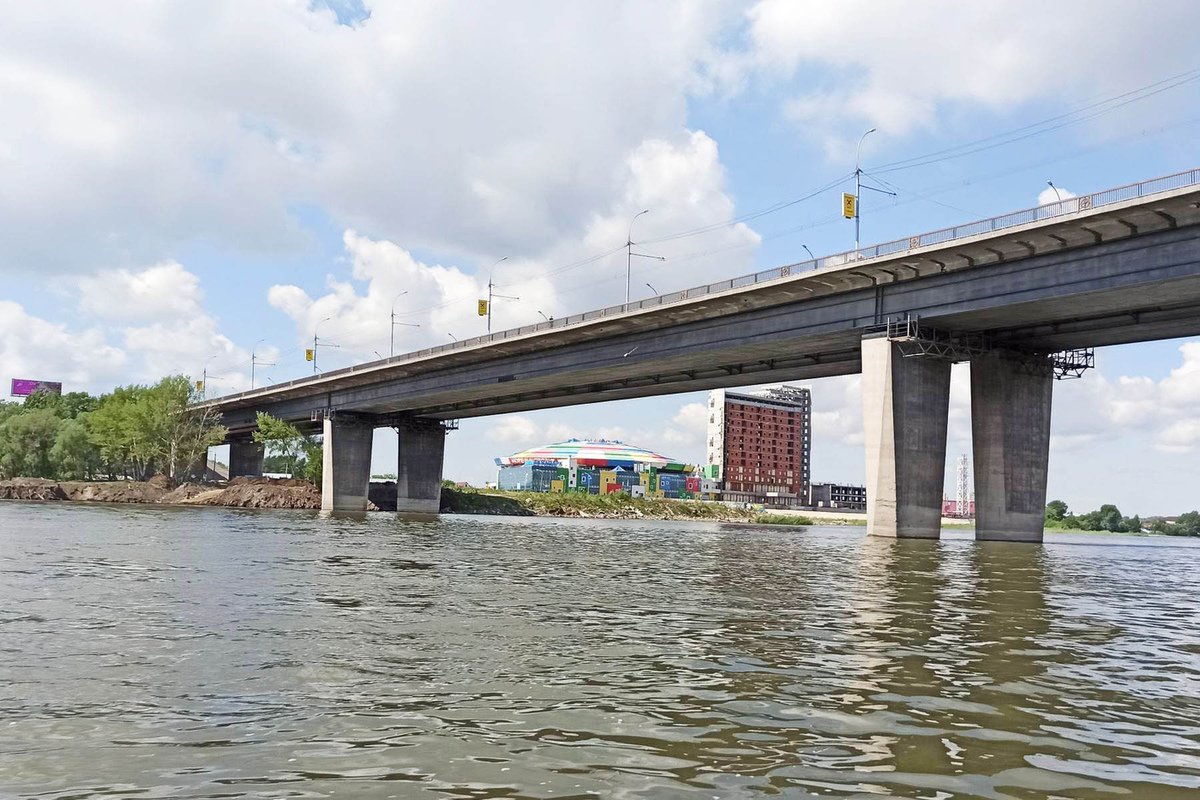 Димитровский мост Новосибирск