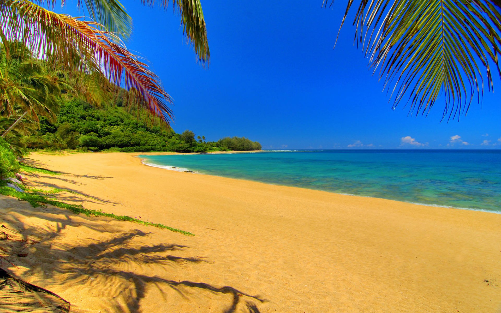 Покажи красивый пляж. Парадиз остров Карибского моря. Красивый пляж. Море пляж. Океан пляж.
