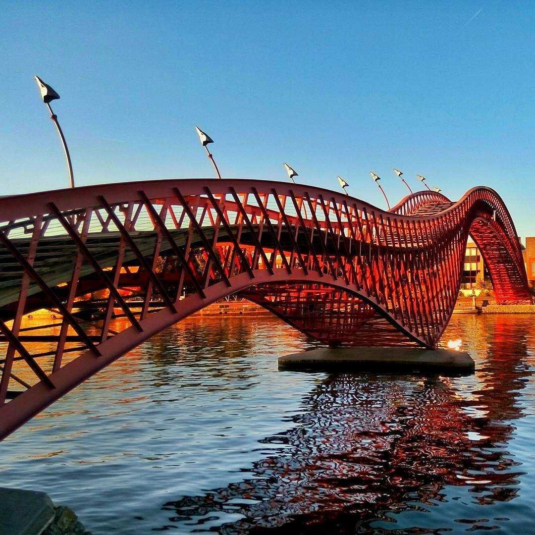 Мост питон в Амстердаме