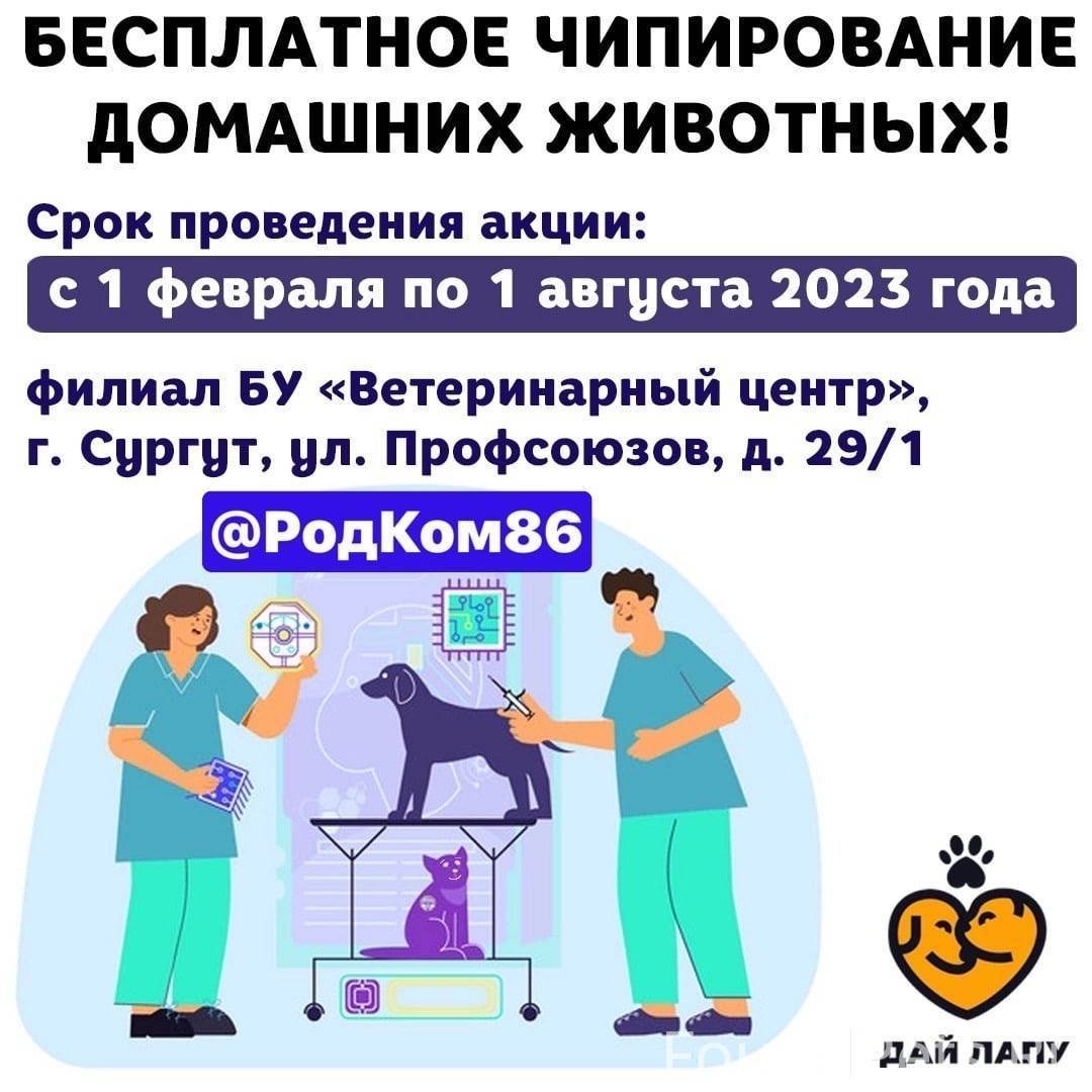 Чипирование автомобилей