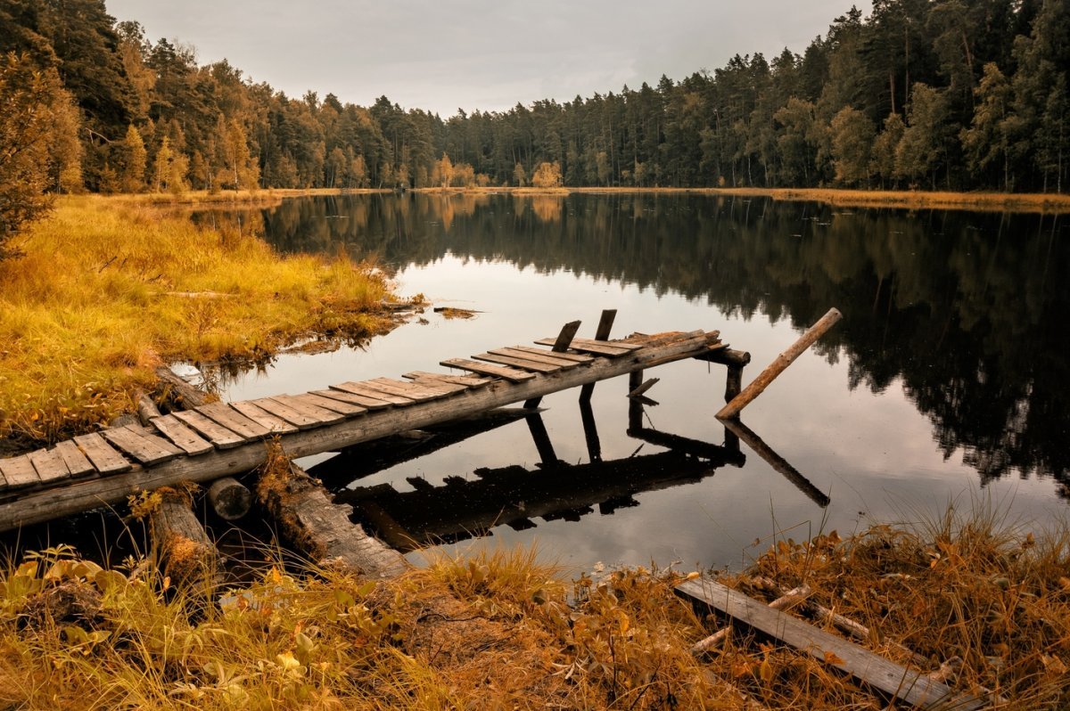 Озеро дикое Свердловская область Таборинский район фото