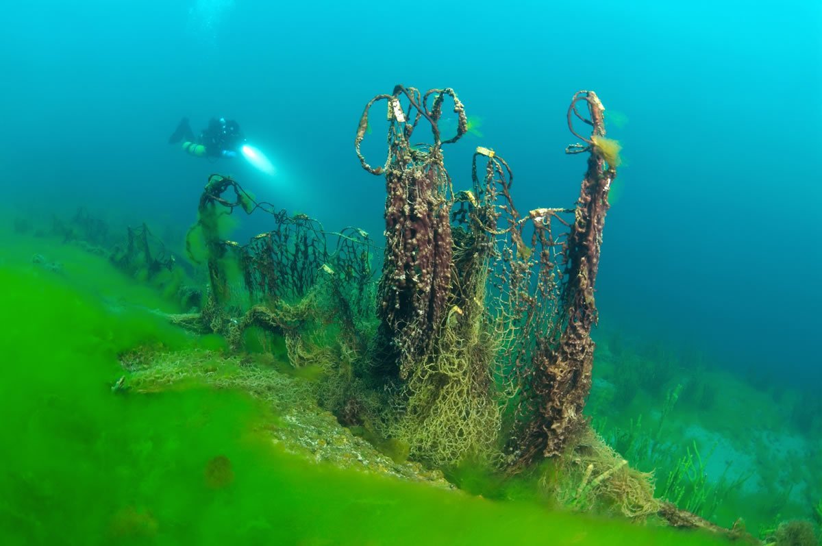 Байкальская Сибирь подводный мир водоросли