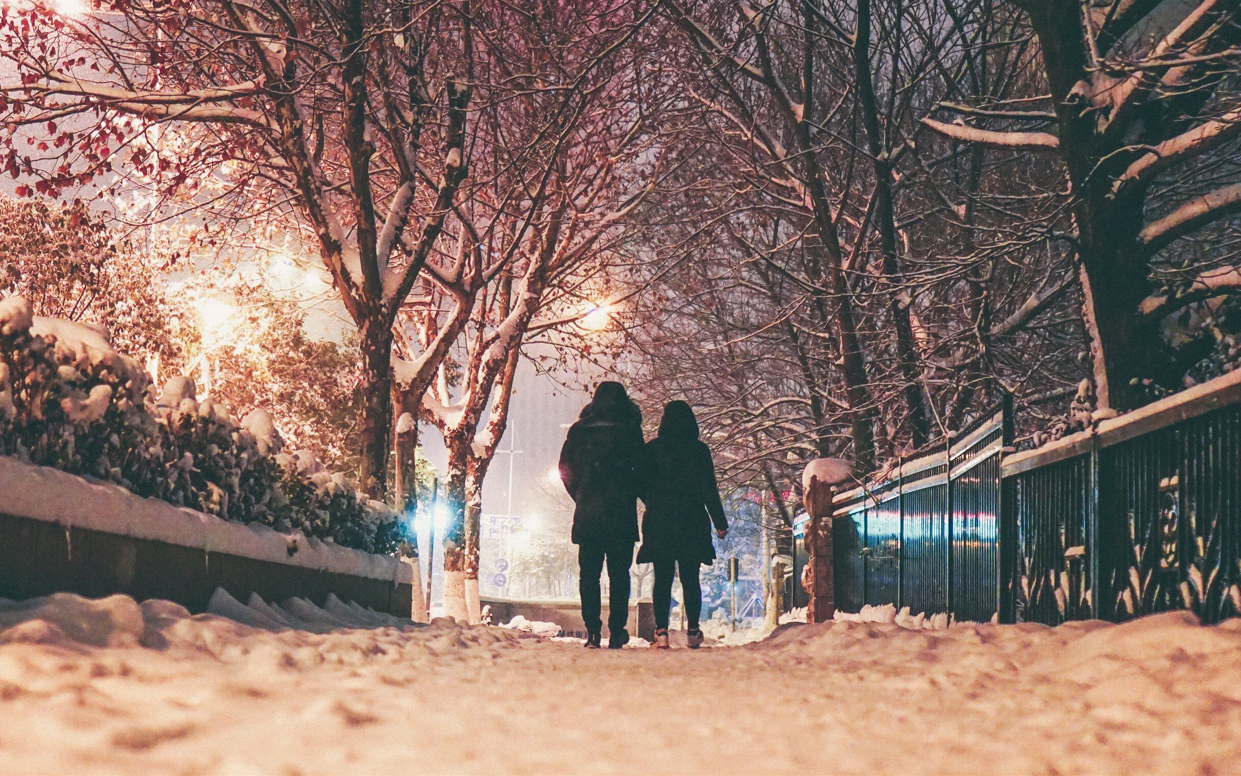 Засыпает в парке вечер. Прогулка в снегопад. Фотосессия в городе зимой. Зима в городе. Зимняя прогулка в городе.