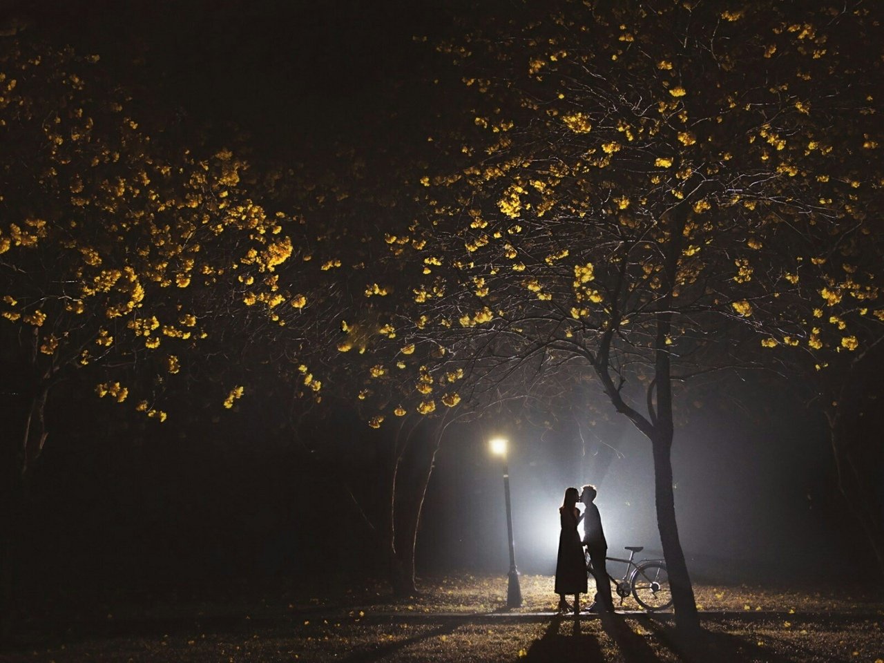 Темным осенним вечером. Осенняя ночь. Прогулка вечером. Влюбленные под фонарем. Осень одиночество.