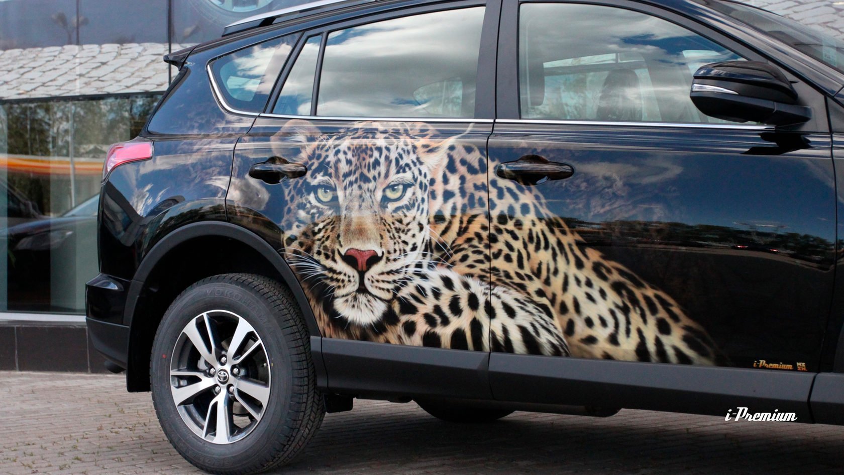 Тайгер 55. Аэрография на машину гепард. Наклейка на авто "леопард". Аэрография на черном авто. Машина леопард.