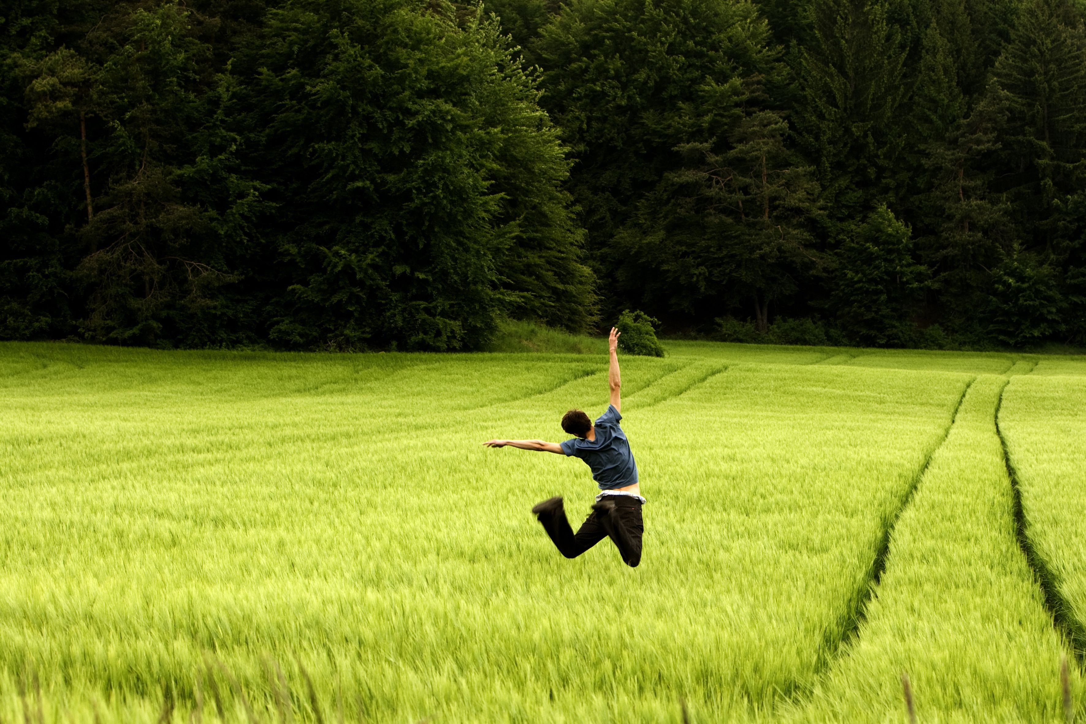 The knowing field. Человек и природа. Человек бежит по полю. Человек на траве. Счастливые люди на природе.
