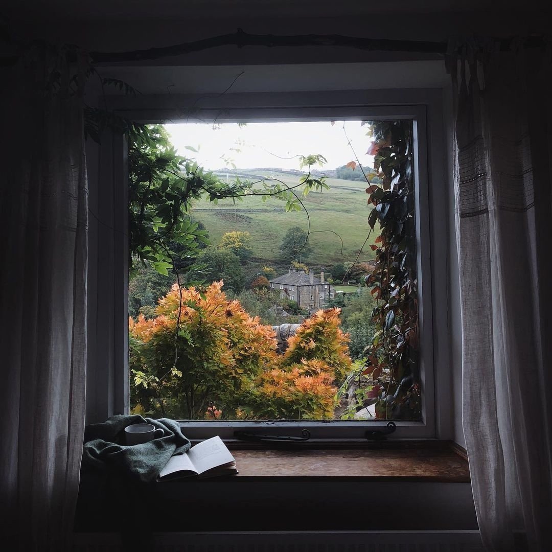 Пейзаж в окне. Вид за окном. У окна. Окно с видом на природу.