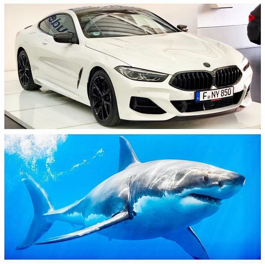 BMW 850 акула