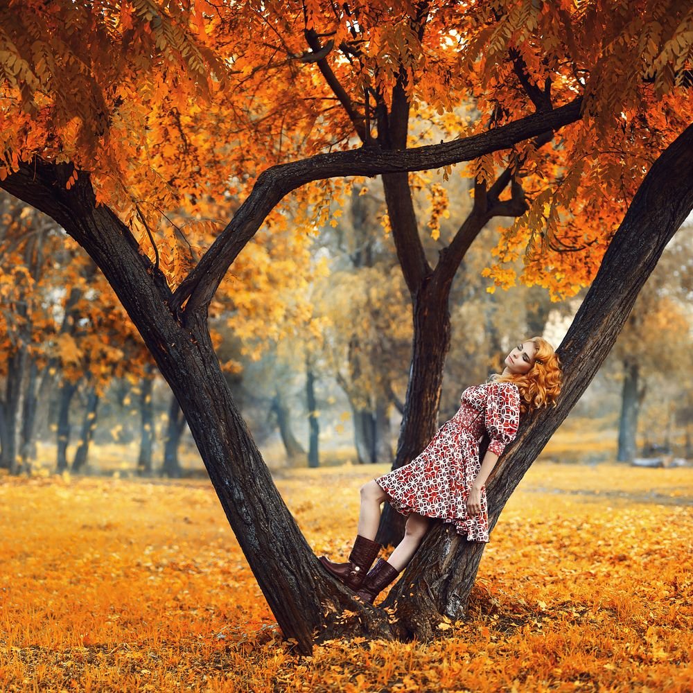 Осенний парк девушка