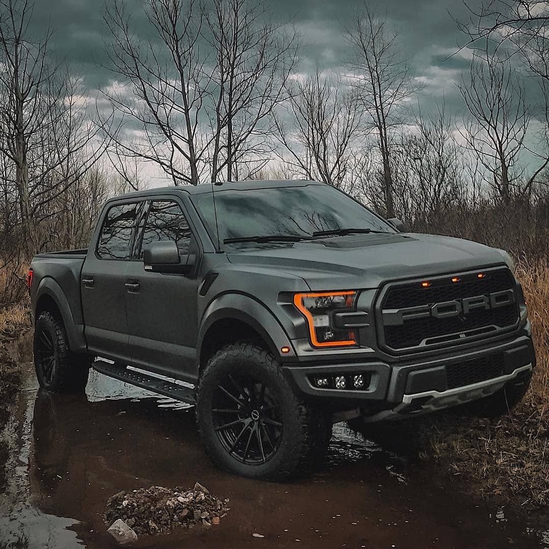 Ford Raptor 2016 серый