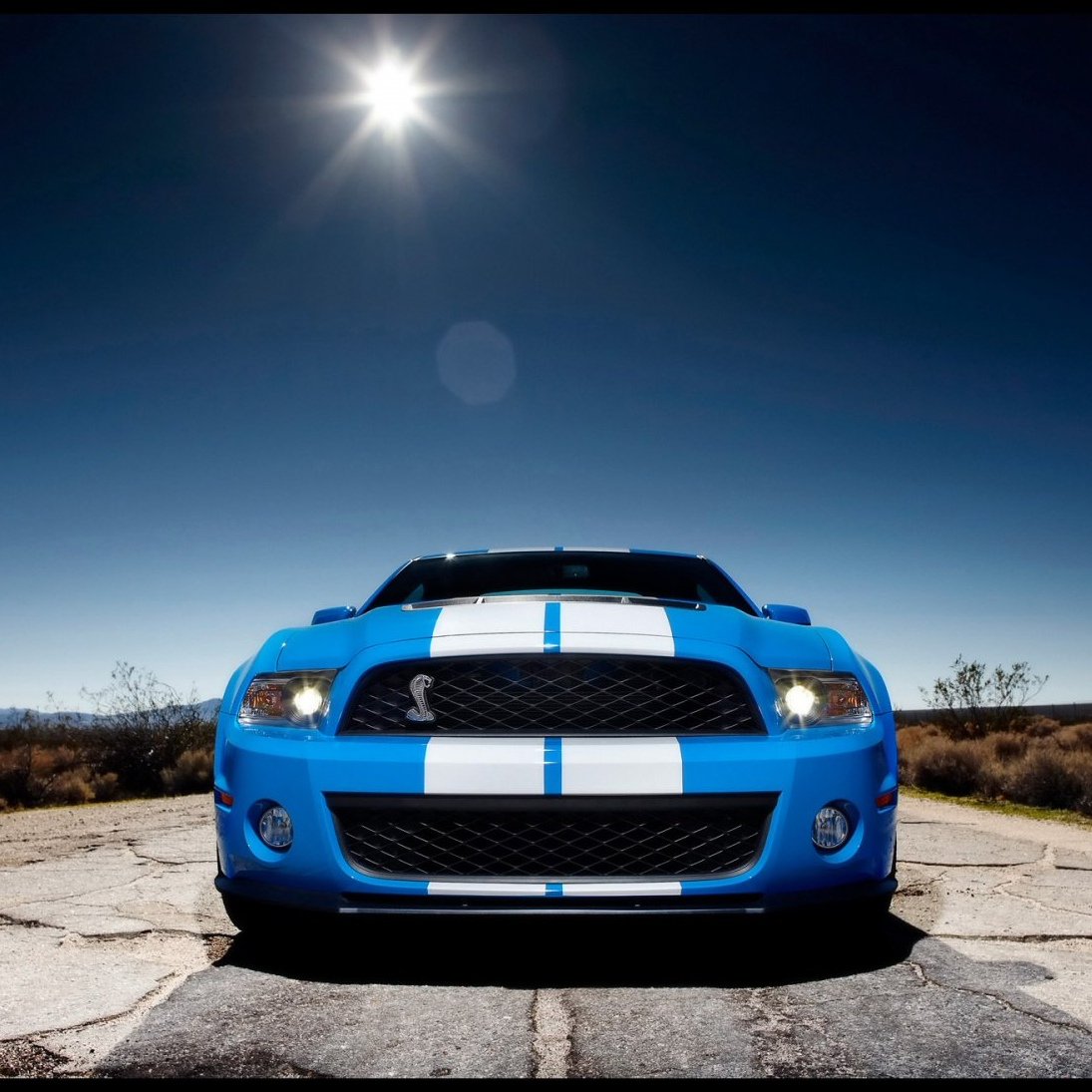 Ford Shelby gt500