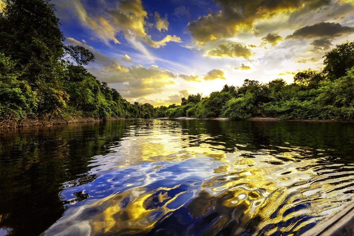Река амазон