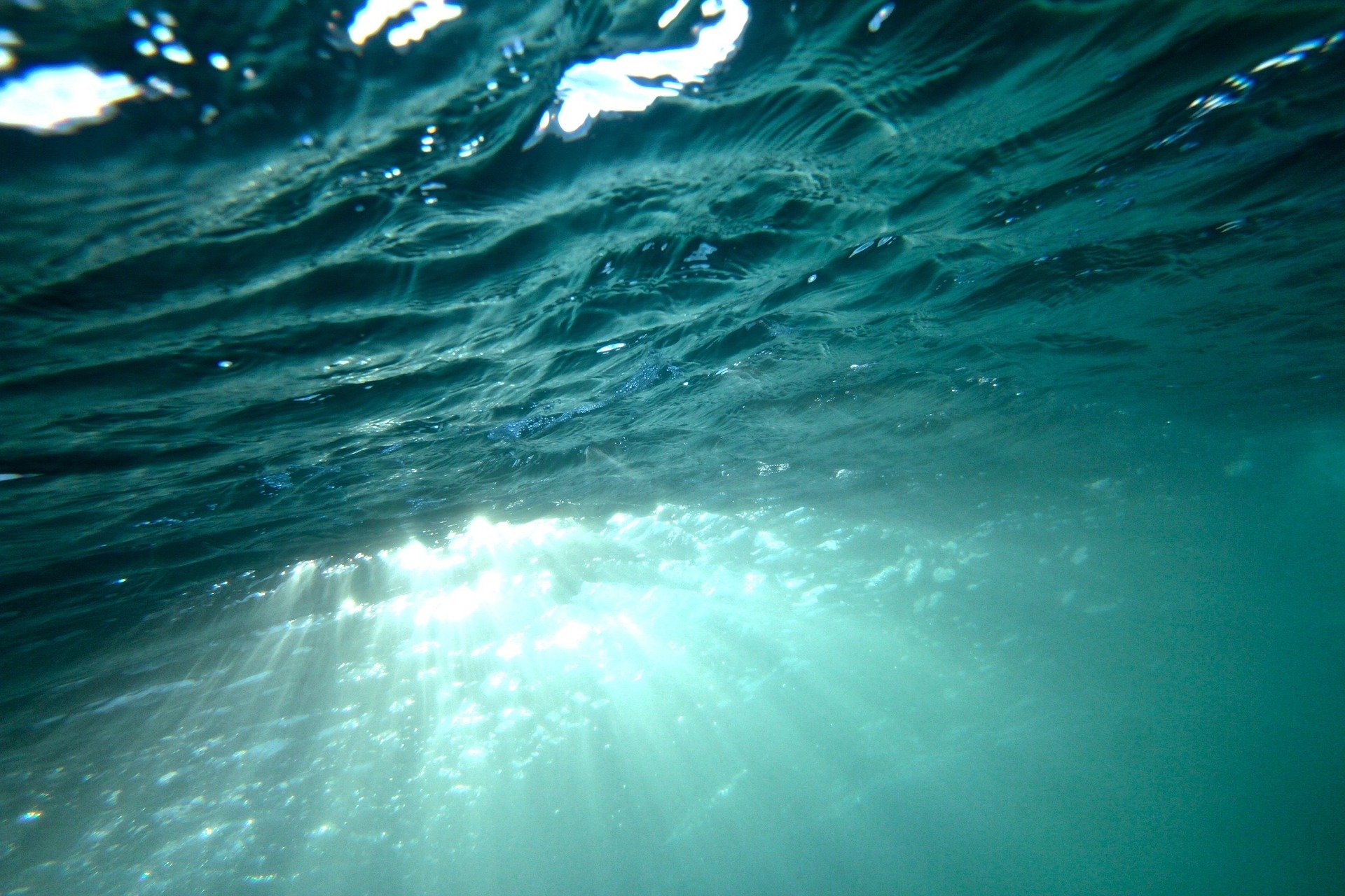 В глубь океана. В толще воды. Море глубина. Море под водой. Океаны. Глубина.