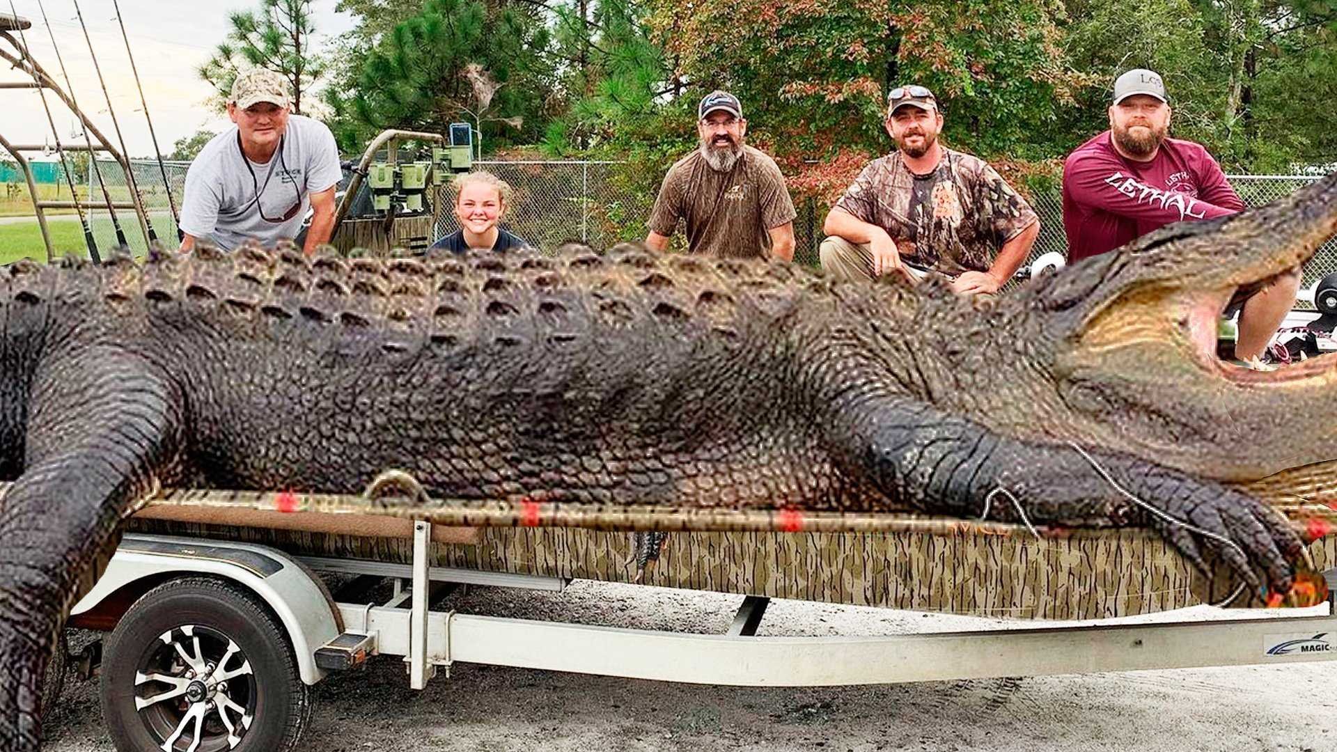 Огромный людоед. Самый большой гребнистый крокодил в мире.