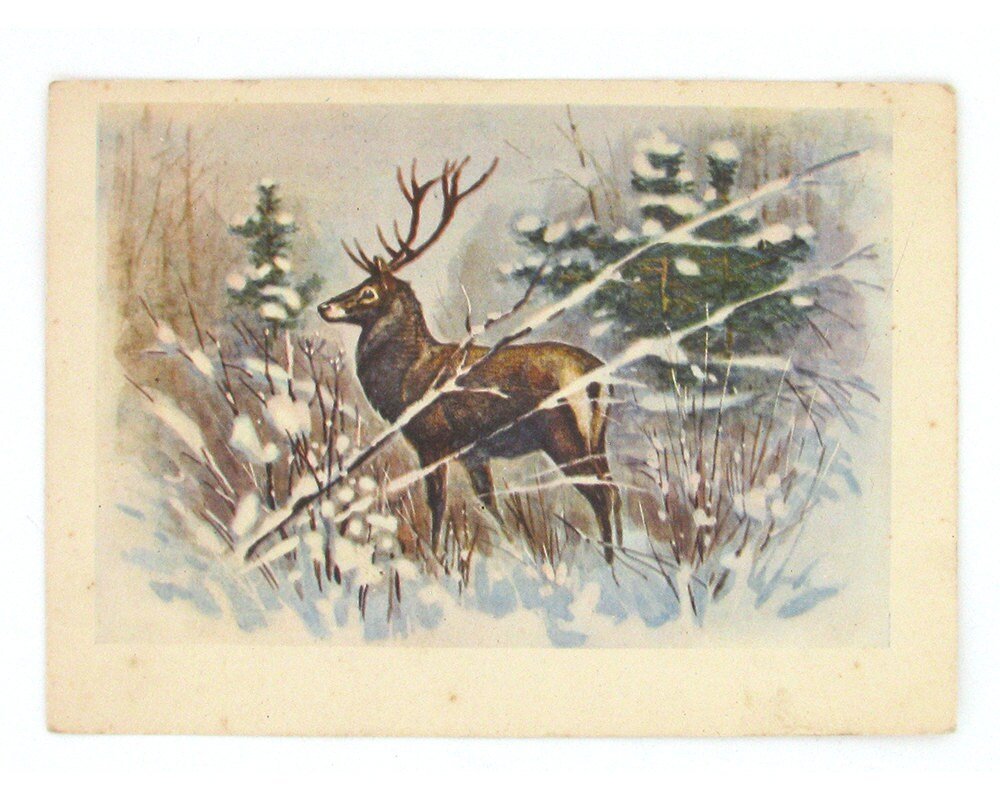 Старинные открытки с оленями