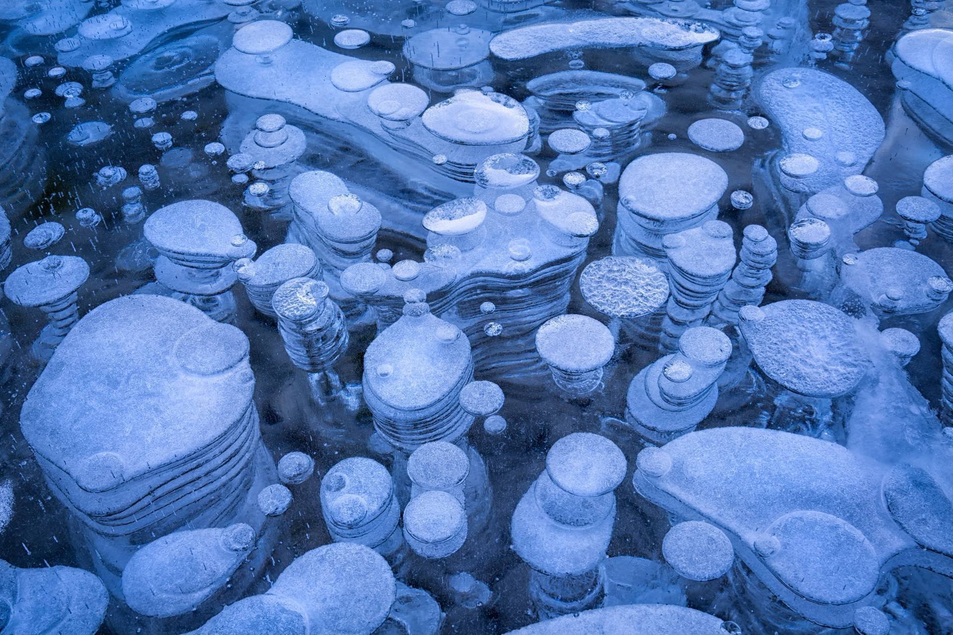 Пузырьки на байкале. Замерзшие пузырьки метана в озере Байкал. Метановые пузыри на Байкале. Застывшие метановые пузыри (Канада). Замерзшие пузыри на Байкале.