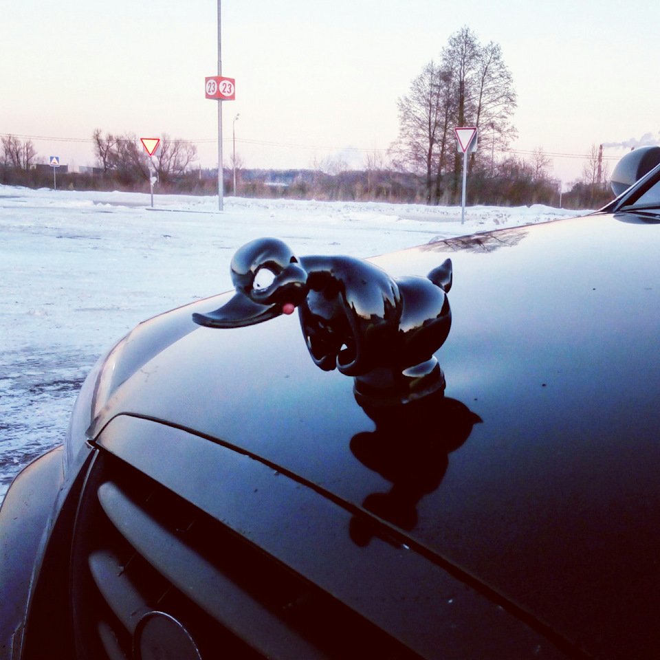 Утка на капот автомобиля