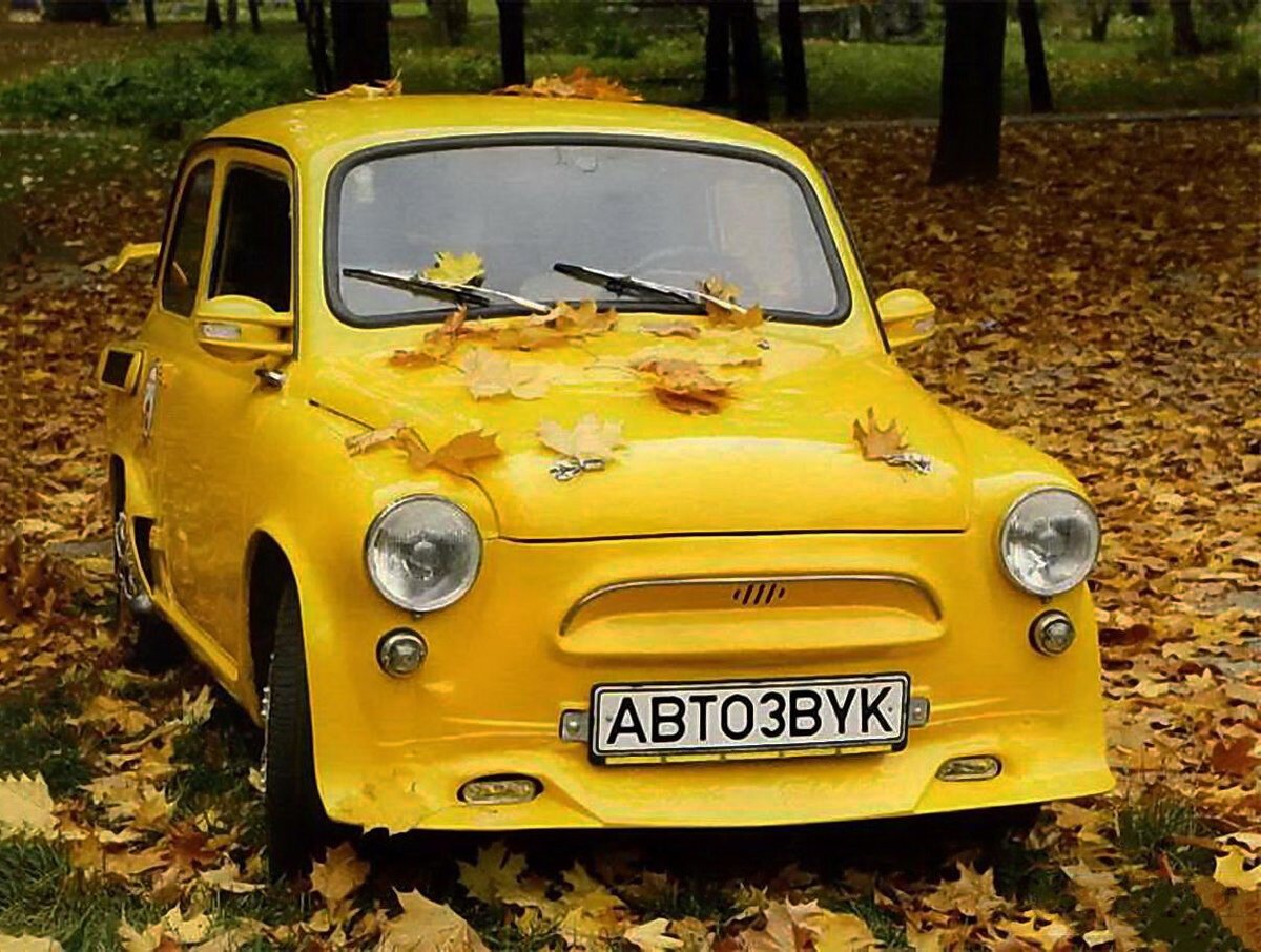 ЗАЗ 315