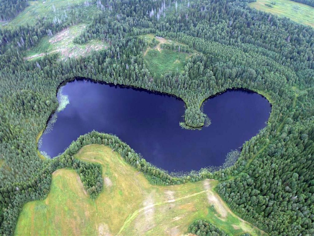 Озеро Бросно в Тверской области чудовище