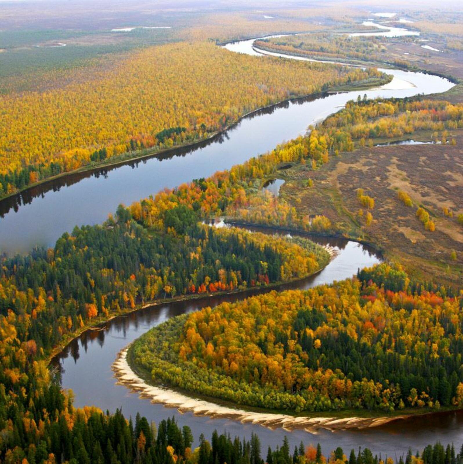 Чем отличается природа западной сибири. Река Обь. Река Обь в Алтайском крае. Тайга и река Обь. Реки Сибири Обь.