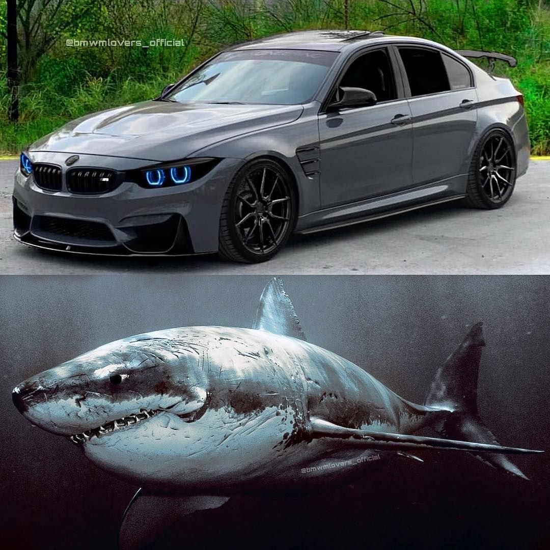 BMW m3 акула