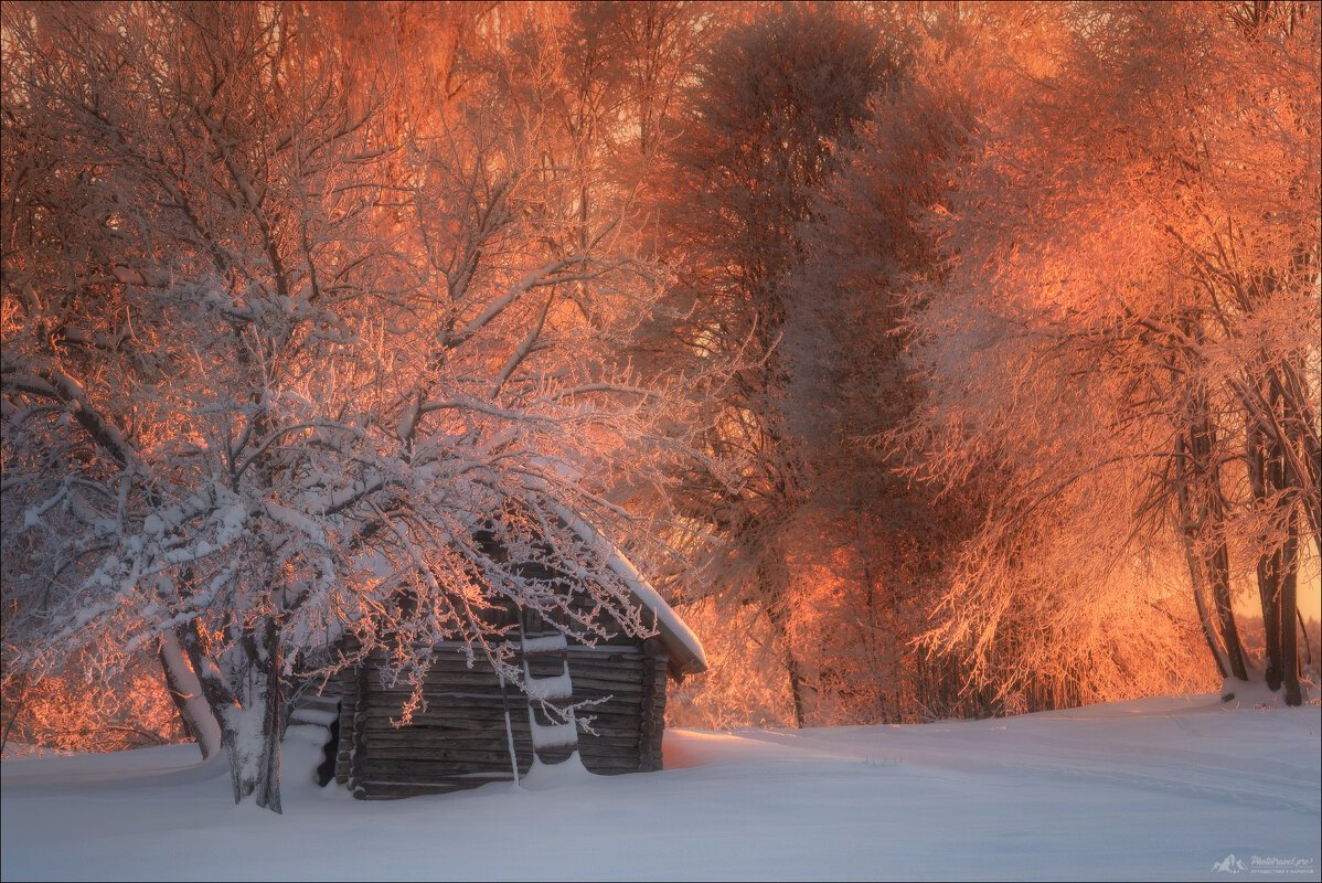 Пушкинские горы зимой