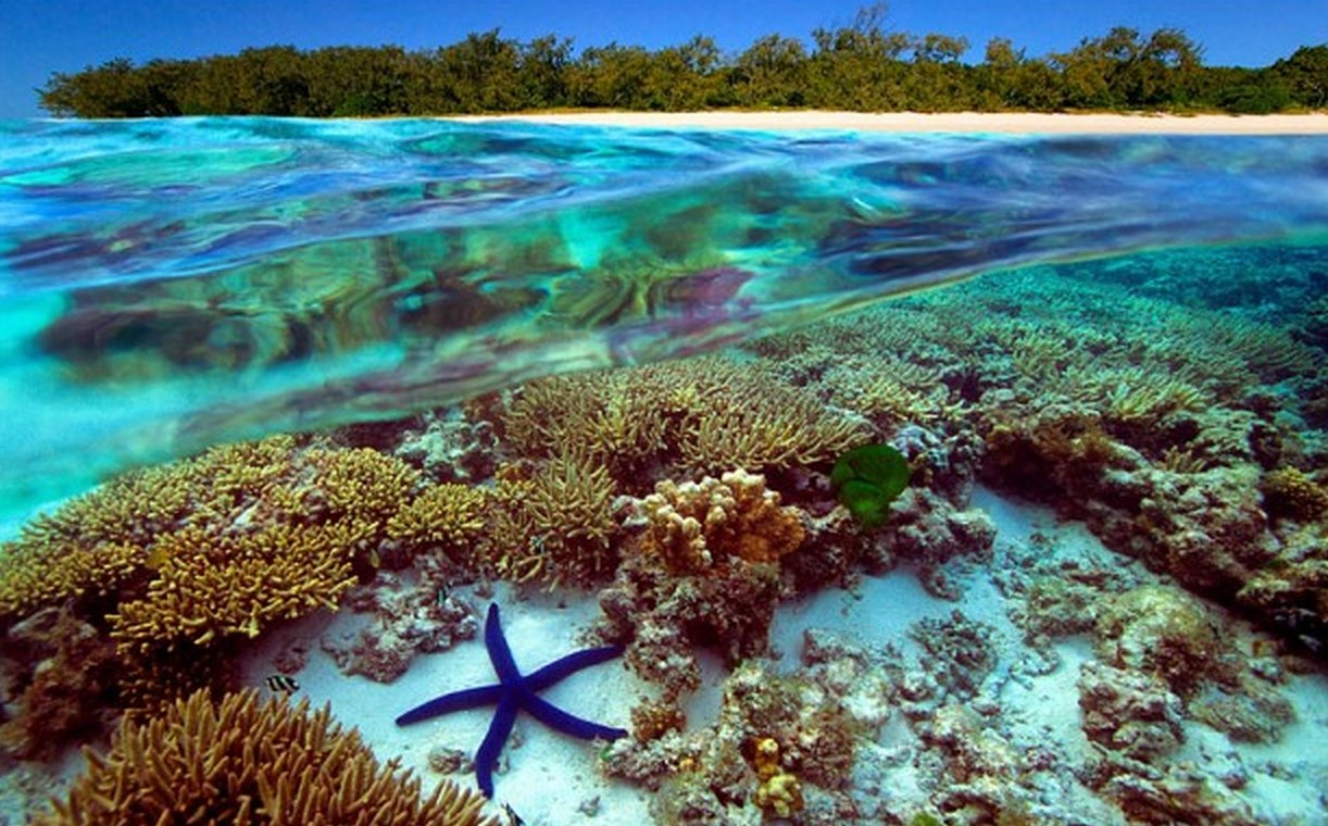 Большой Барьерный риф Австралия. Морской заповедник Саут-Уотер-Кей,. Большой Барьерный риф в коралловом море. Большой Барьерный коралловый риф в Австралии. Острова барьерного рифа