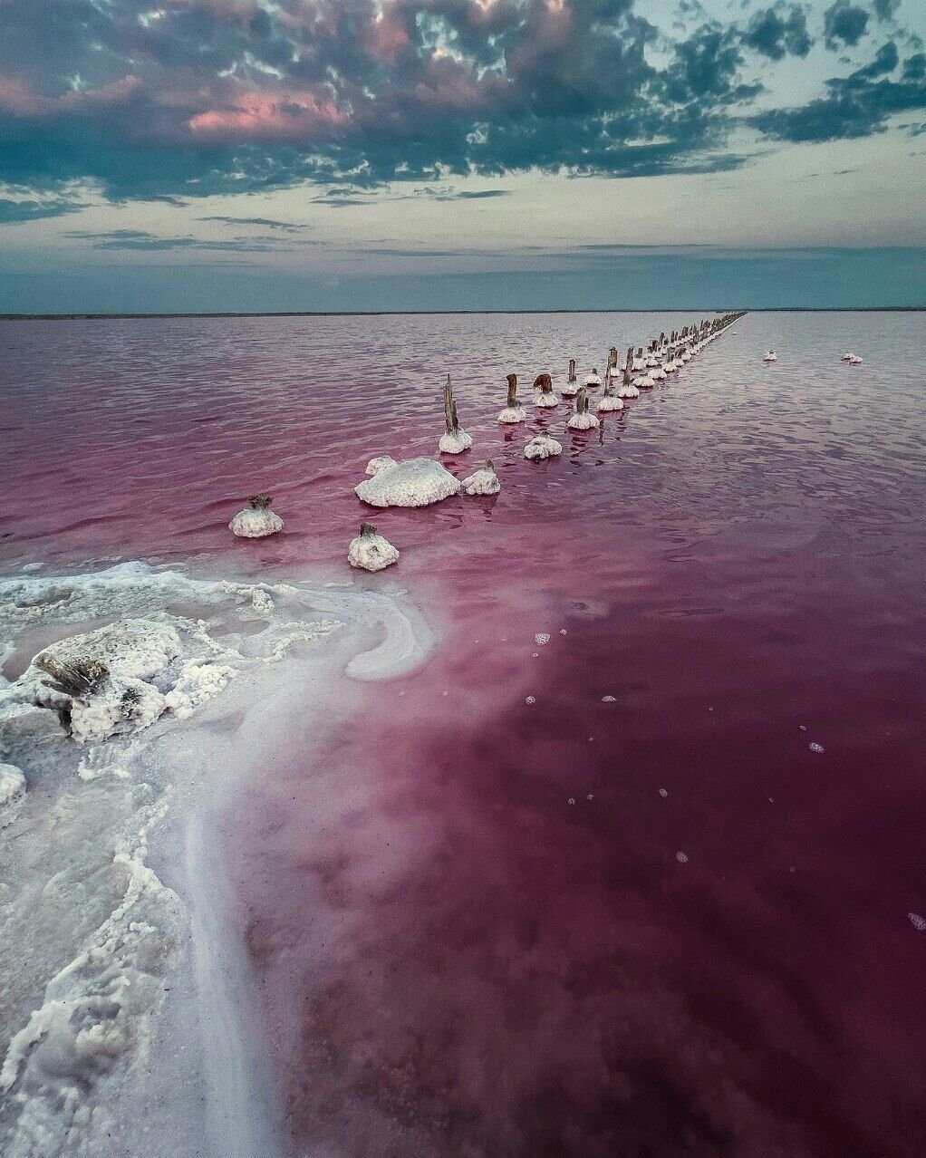 Розовое озеро сасык. Сасык-Сиваш. Сасык-Сиваш Евпатория. Сасык Сиваш озеро. Розовое озеро Сасык-Сиваш.