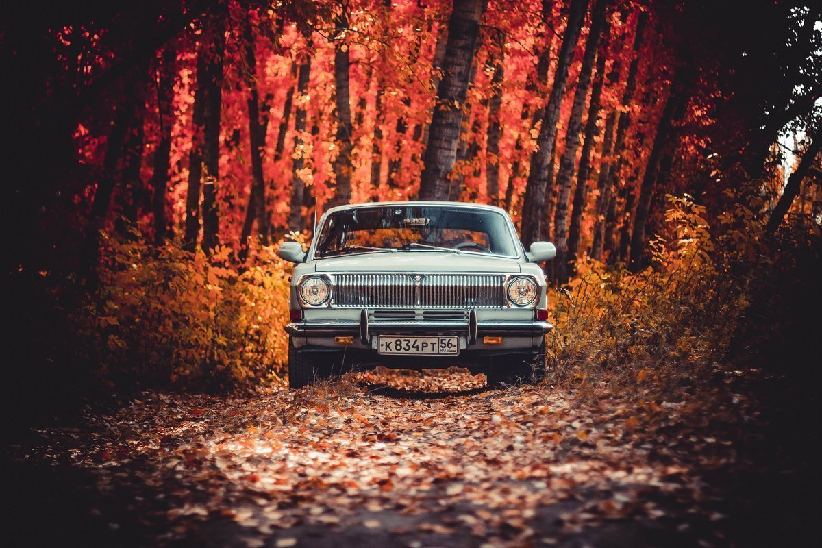 ГАЗ 24
