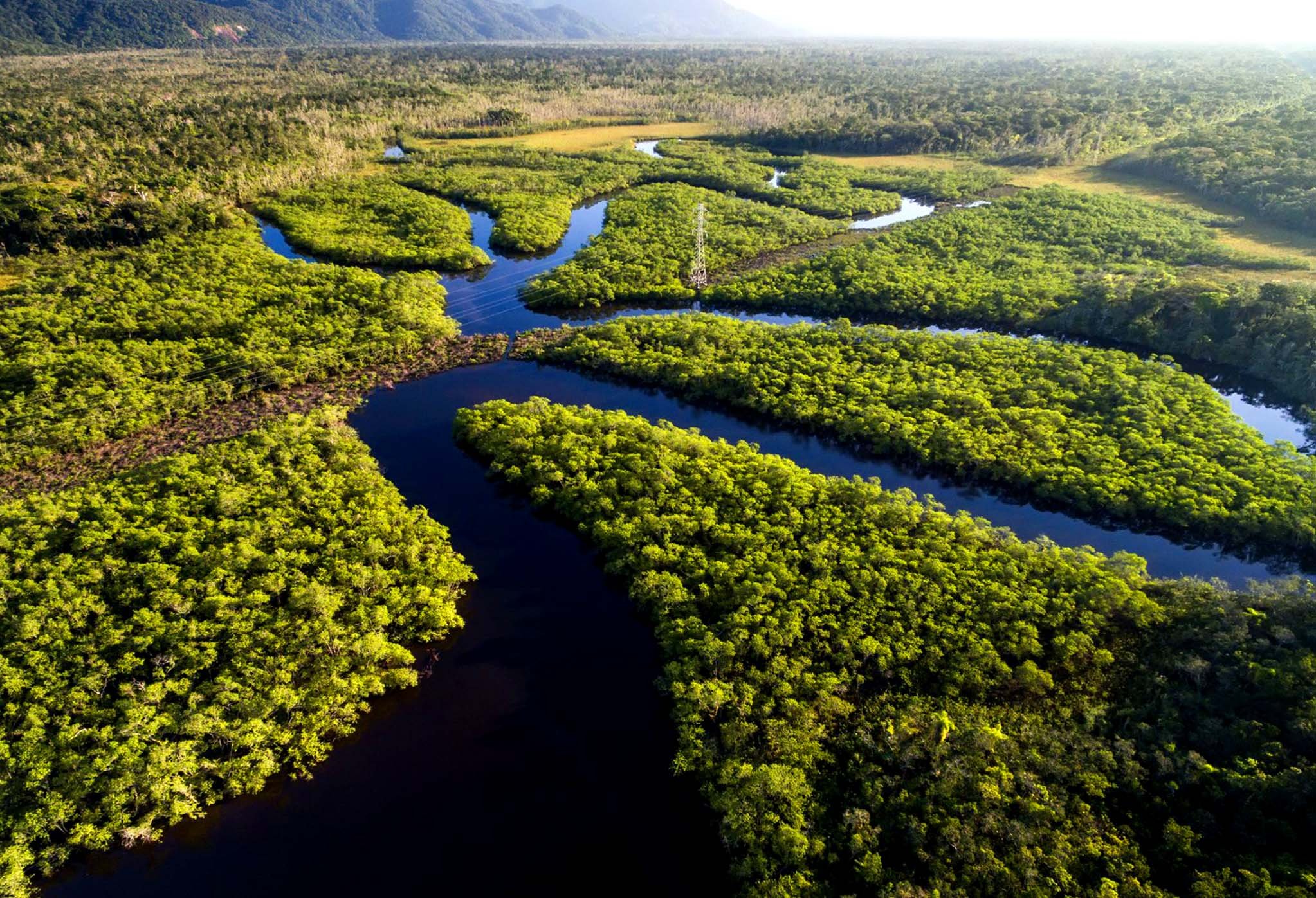 Полноводной реки страны. Река Амазонка в Бразилии. Сельва амазонки, Южная Америка. Бразилия тропические леса Сельва. Манаус Бразилия Амазонка.