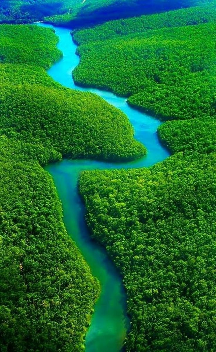 Реки на планете земля. Бразилия тропические леса Сельва. Река Амазонка в Бразилии. Сельва Южной Америки. Южная Америка река Амазонка.