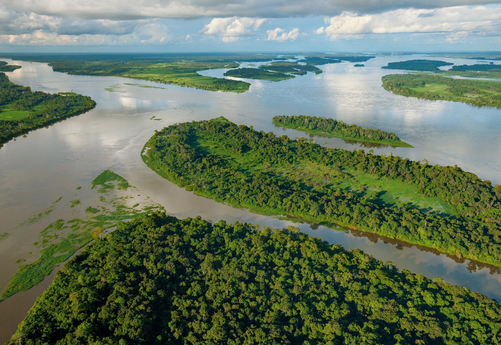 Какая самая средняя река. Бассейн реки Конго. Национальный парк Салонга. Конго Заир река. Река Конго в Африке.