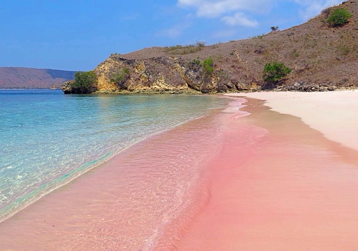 Розовый песок остров Комодо Индонезия