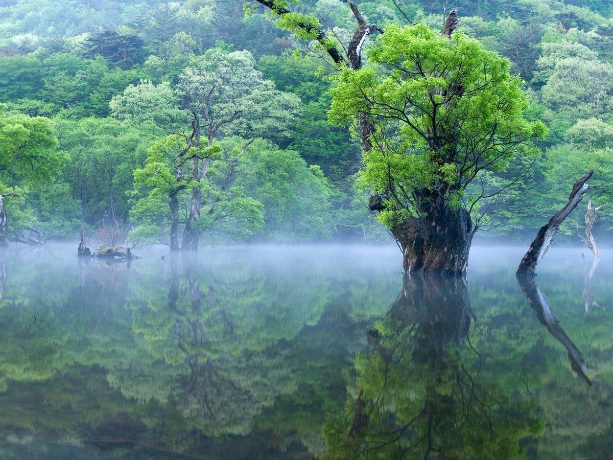Корея национальный парк гор Чувансан