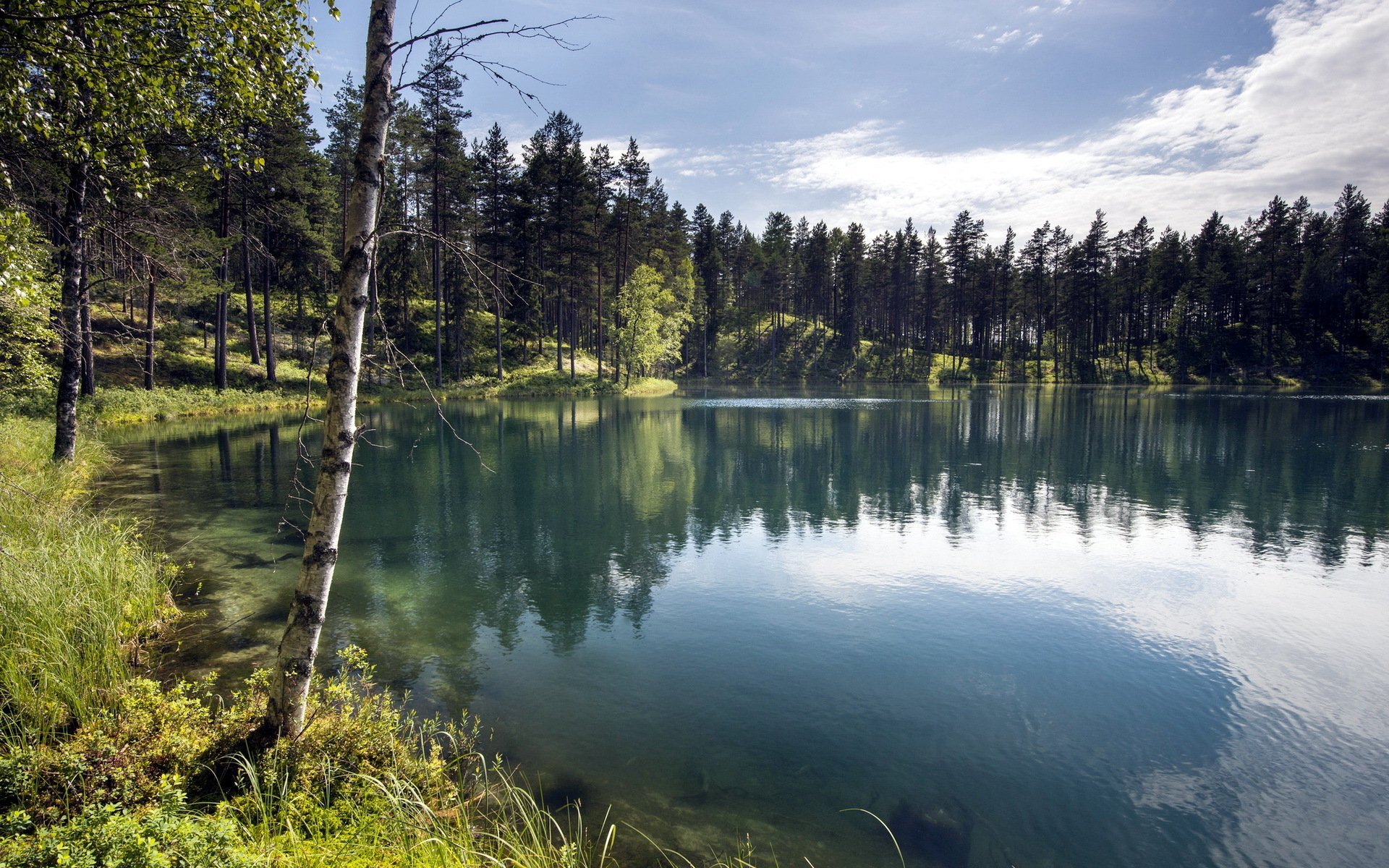 Озеро на берегу которого расположены. Лесное озеро Солнечногорск. Семиозерье. Озеро Ликолампи Выборг. Лесное озеро (Forest Lake).