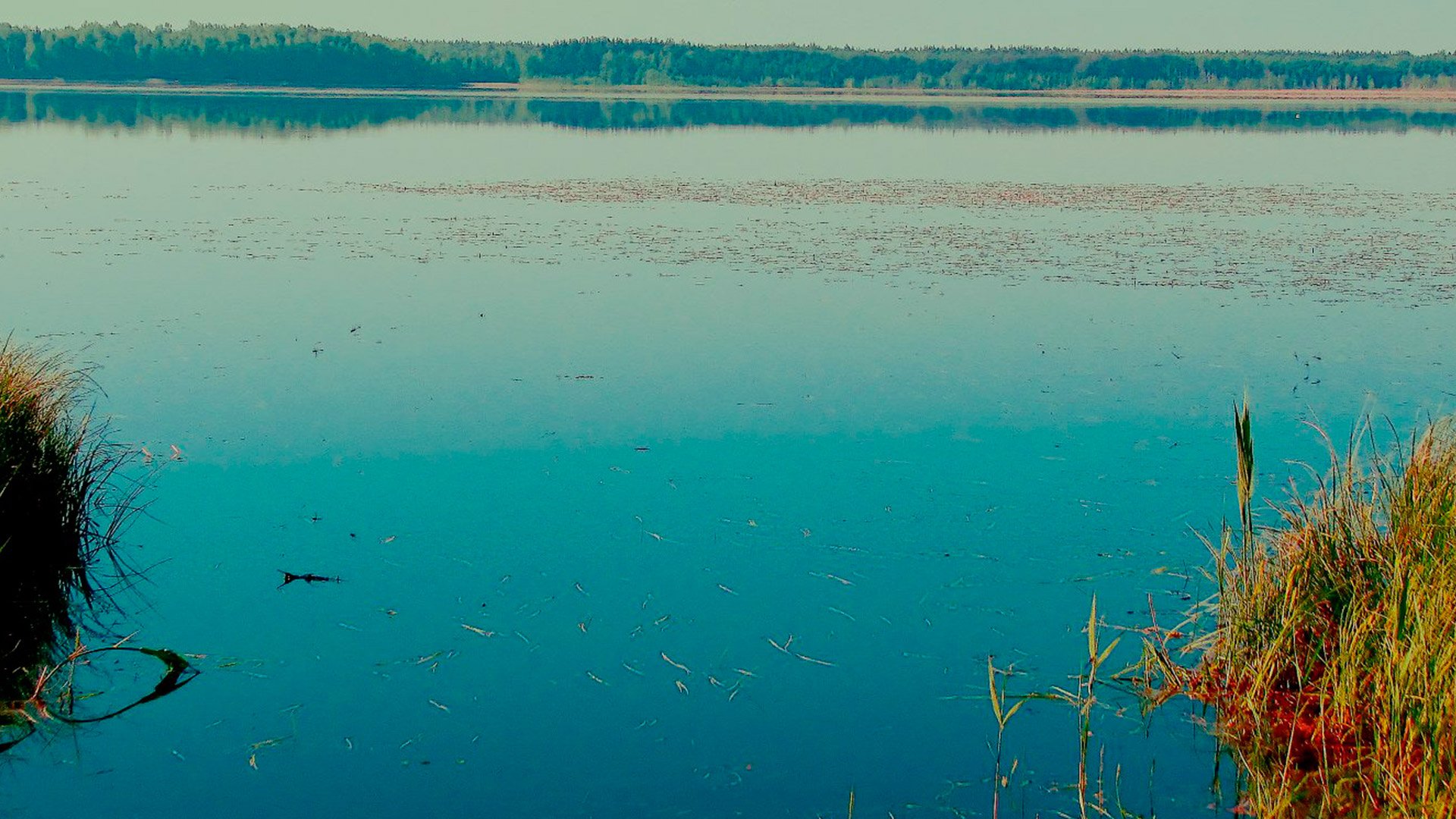 Озеро является источником. Озеро Пырское Нижегородская область. Пырское озеро Дзержинск. Озеро Пыра Нижегородской области. Озеро Пыра Богородский район.